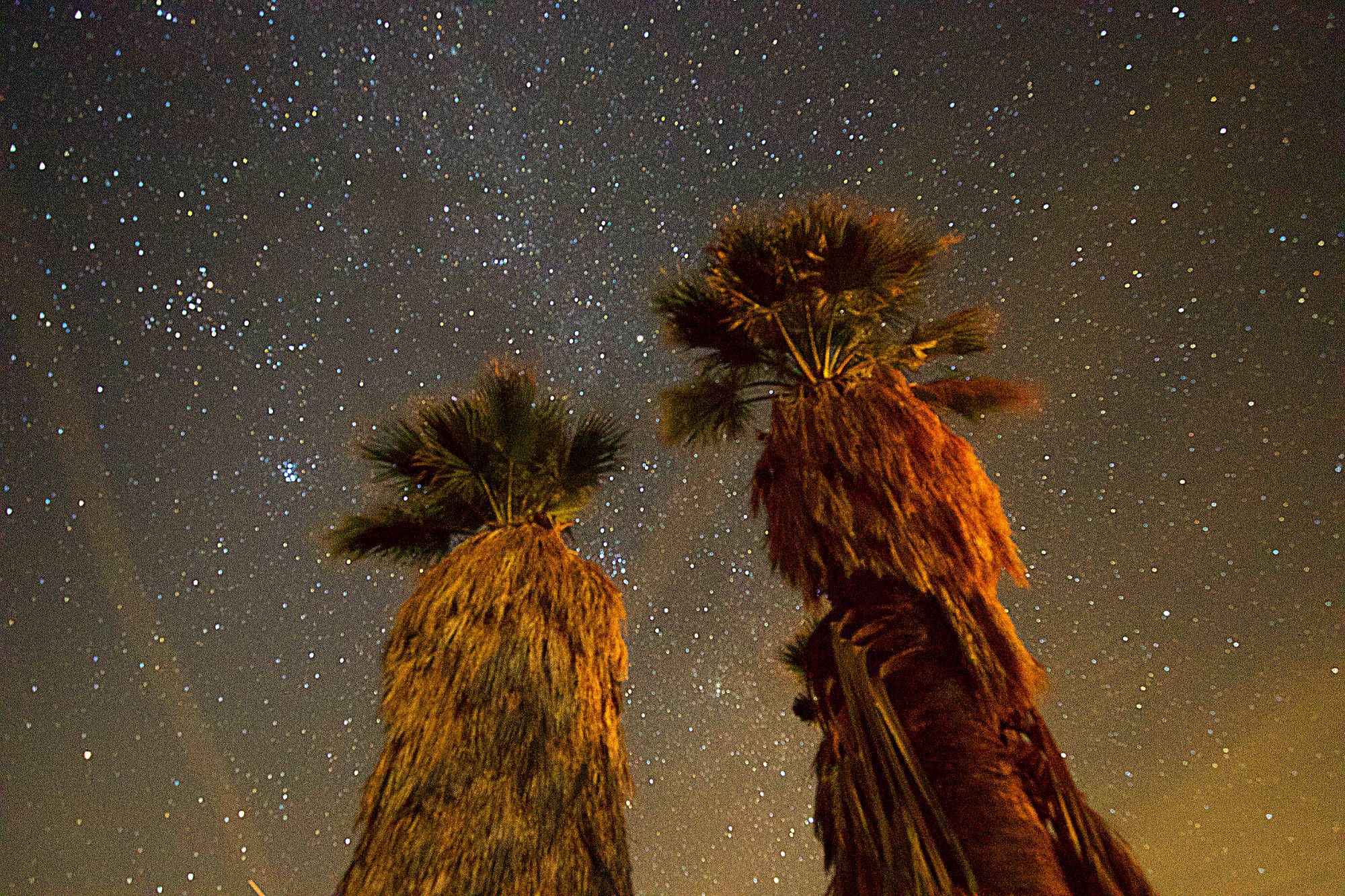 Stars filling the night sky above the desert landscape of Anza-Borrego Desert State Park
