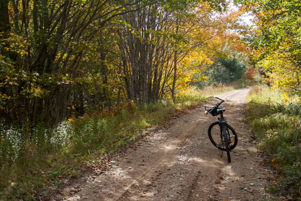 Bicycle parked on a gravel trail surrounded by trees with colorful autumn leaves.