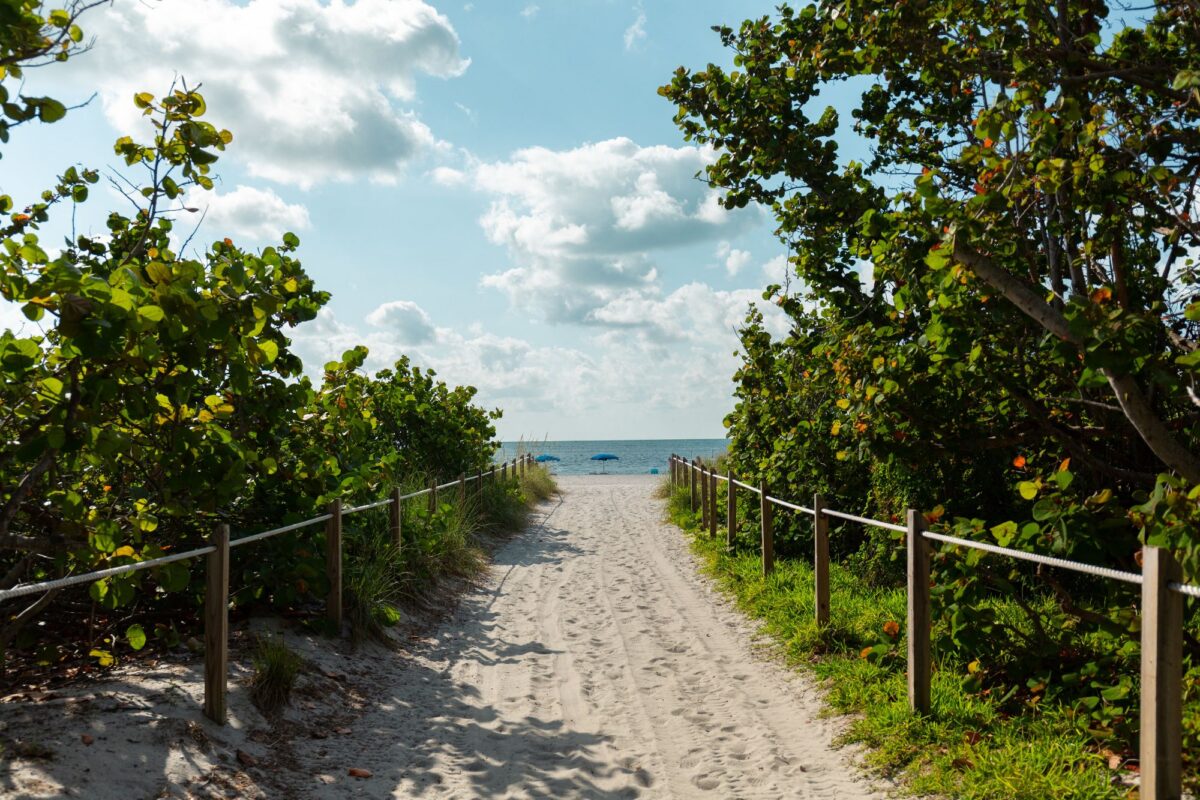 A sandy path with wooden railings running through coastal vegetation toward the water