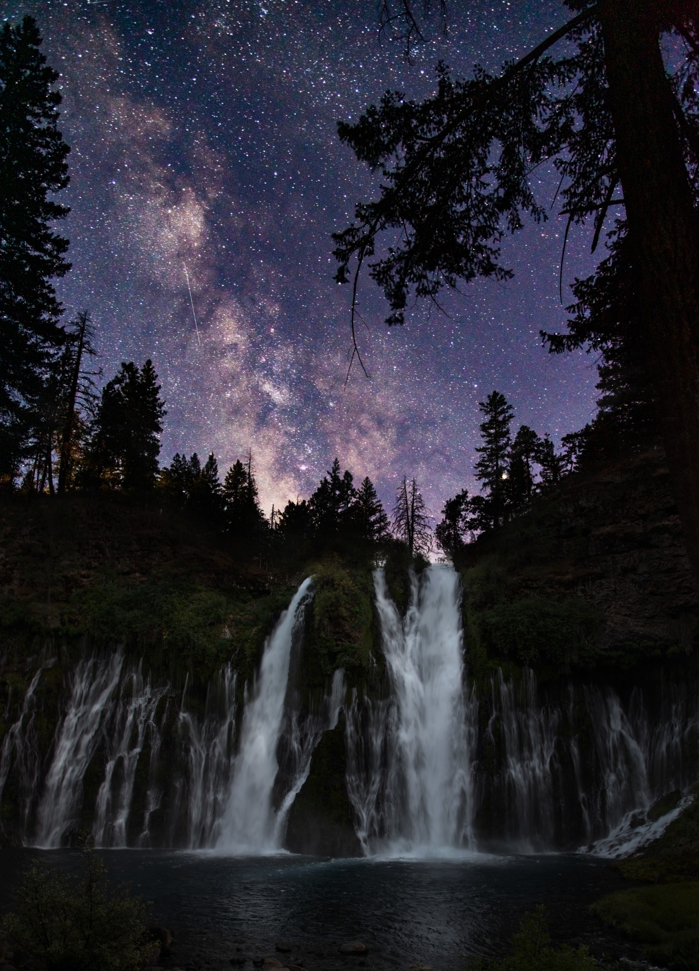 The Milky Way above the forest landscape of McArthur-Burney Falls Memorial State Park