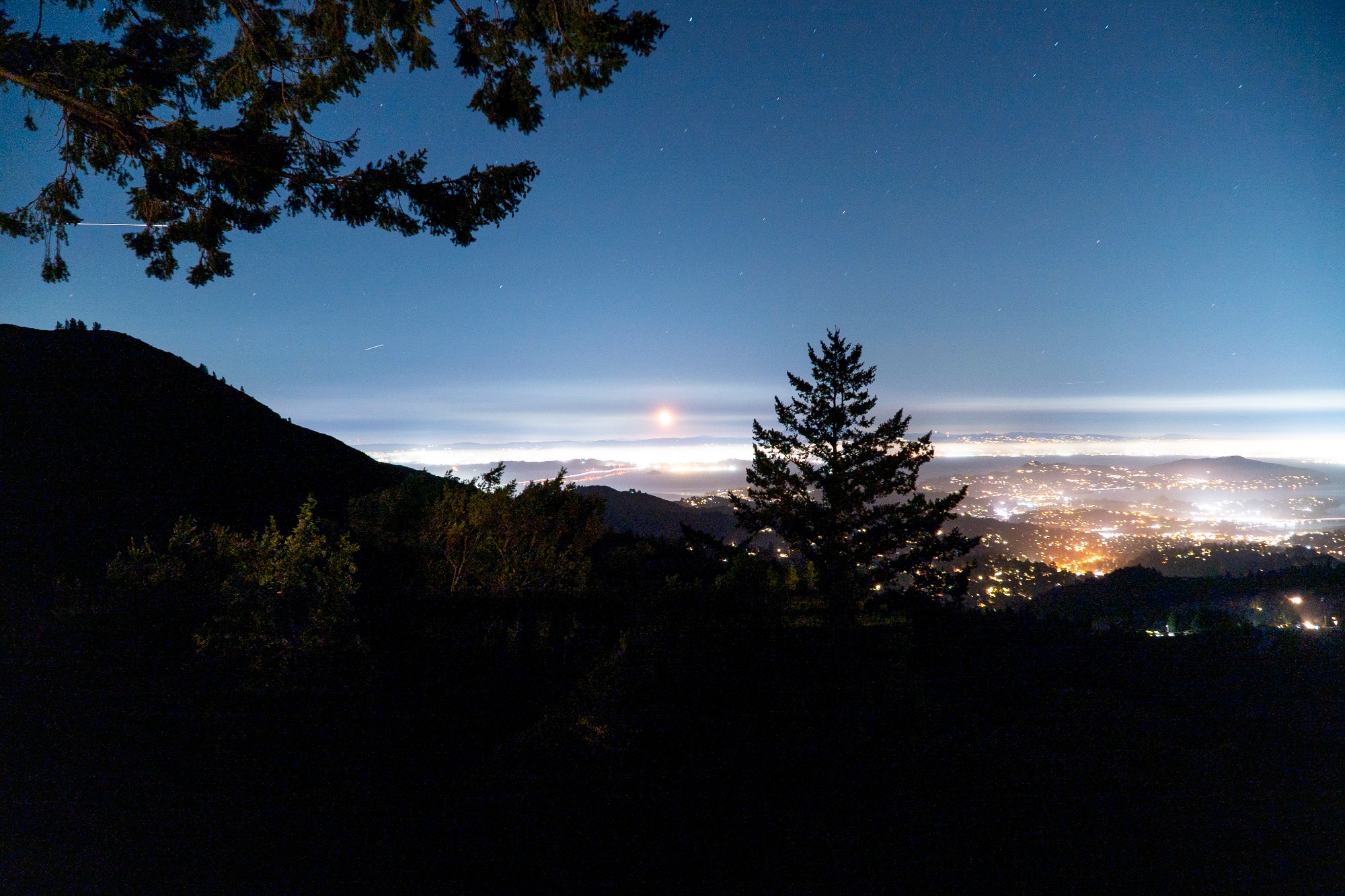 Nighttime view from Mount Tamalpais toward the illuminated Bay Area, with city lights below the mountain landscape