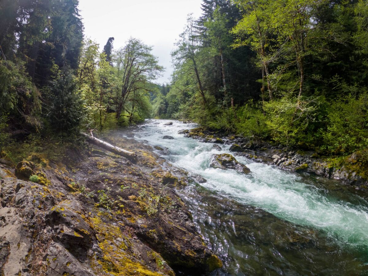 Flowing water and rocks along the Sol Duc River in Olympic National Park