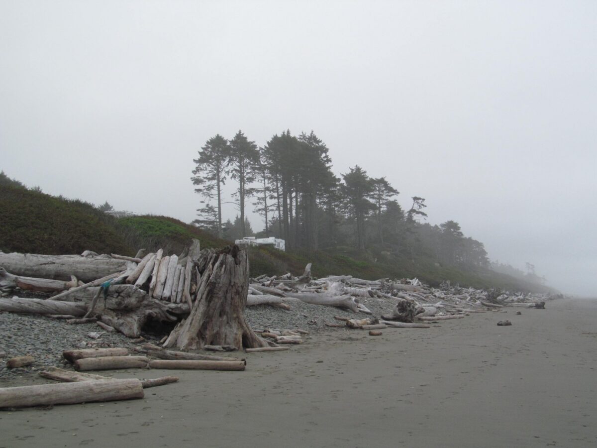 Pacific coastline at South Beach in Olympic National Park