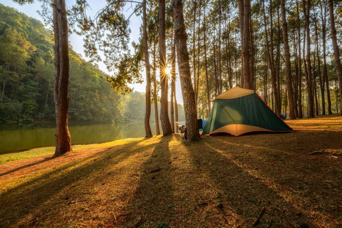 Green camping tent beside a lake surrounded by tall pine trees in warm sunlight