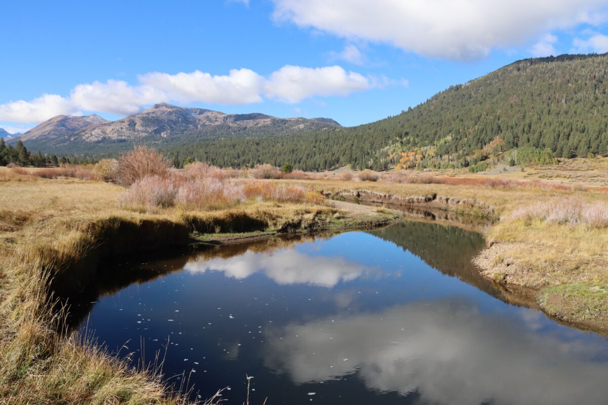 Calm bend in the West Fork Carson River reflecting blue skies and clouds in Hope Valley, California