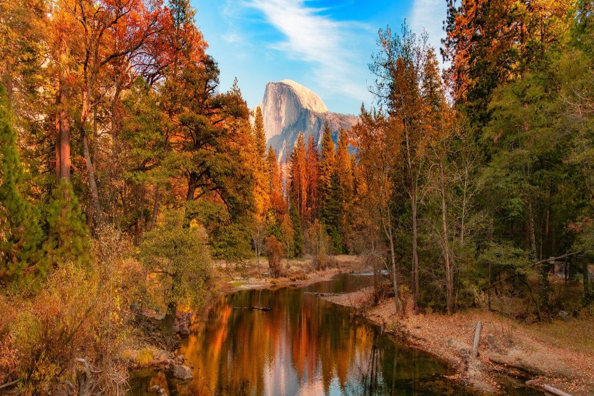 Half Dome rising above a river surrounded by orange and golden autumn foliage in Yosemite National Park